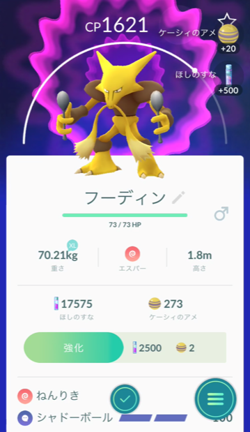 ポケモンgo ログ 2017年12月31日 大晦日はフーディン戦で締め ネットライフハック